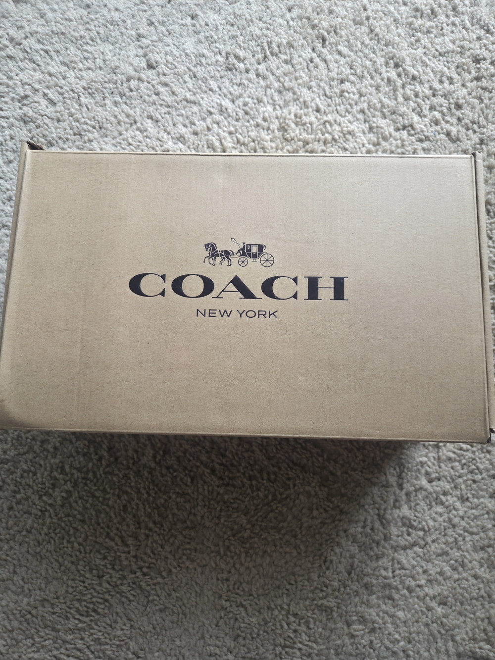 Coach Woven Slide Sandals in Natural Straw - Picture 2 of 6